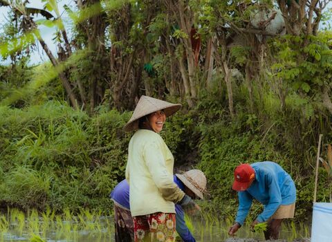 Ubudcover